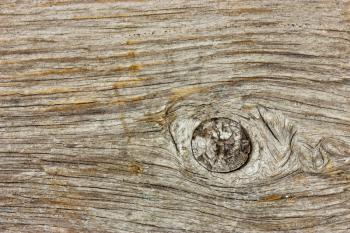 Very old wood texture, can be used as a background