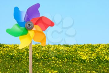 Colorful wind wheel in front of summer meadow background