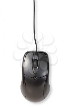Black computer mouse over a white background