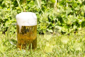 Glass with beer and white froth on the green grass