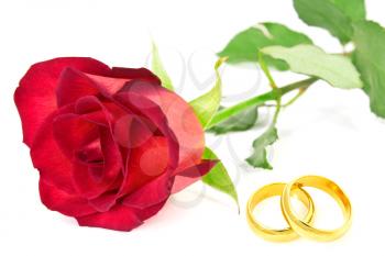 Red rose and wedding rings on the white background