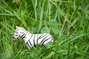 Plastic zebra standing in a green grass