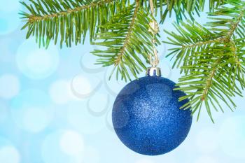 Blue Christmas  bauble on the fir branch