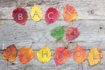 Royalty Free Photo of a Back to School Background With Leaves