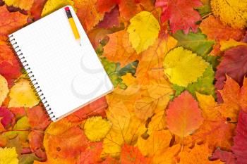 Royalty Free Photo of an Autumn Leaf Background With a Notebook