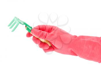 Hand with rubber glove and garden rake. Isolated on white