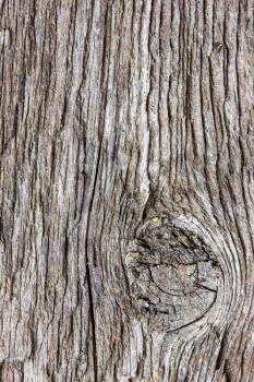 Royalty Free Photo of Wood