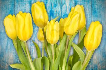 Art abstract background with spring tulips on wooden surface