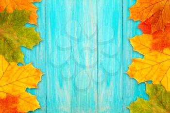 Autumn frame made of fallen leaves and a blue board