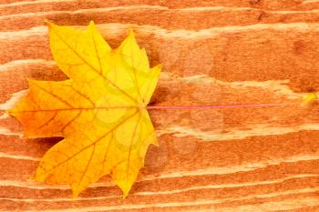 Colorful autumn leaf on brown wooden background