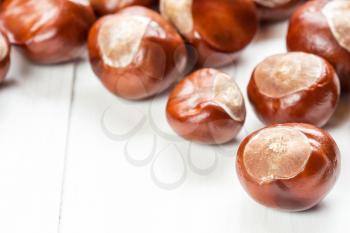 Fruit chestnut on a white wood background with copy-space