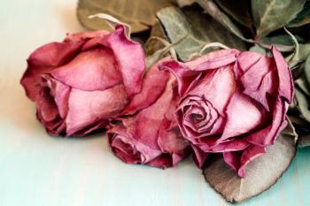 Three dried roses on old wooden background. Vintage style.