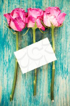 Dry roses and blank greeting card over blue wooden background