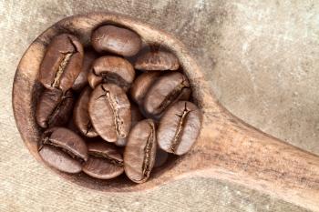 Spoon with coffee crop beans, top view