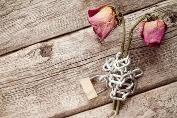 Two old chained roses symbolize endless love