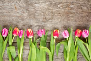 Fresh tulips arranged on old wooden background with copy space for your message