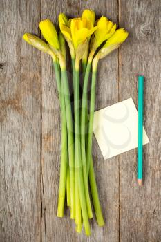     Bunch of yellow daffodil flowers and empty sticky note on old wooden surface