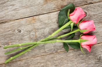 Three pink roses lying on the wooden background