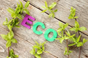 Young plants and word ECO on wooden background