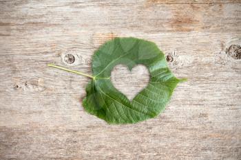 Green leaf with a cutout of a heart on a wooden background