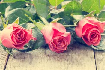  Close-up three pink roses lying on the wooden background