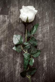 Single artificial white rose on wooden background