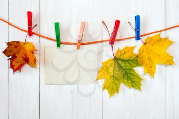 Autumn maple leaves and blank card hanging on rope with clothespins