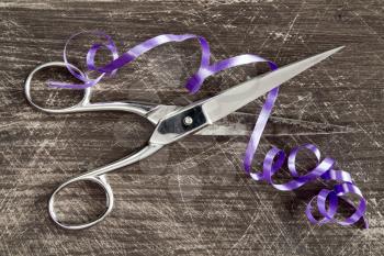 Iron scissors in the process of cutting the purple ribbon