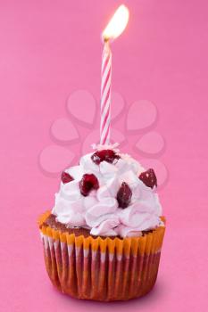 Birthday cupcake with candle and pink background