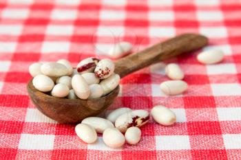 White beans in a wooden spoon on checkered tablecloth