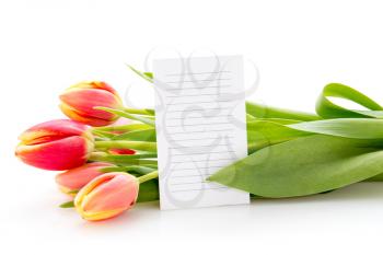 Tulips bouquet with a message card over white background