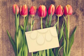 Spring tulips and blank card for copy-space