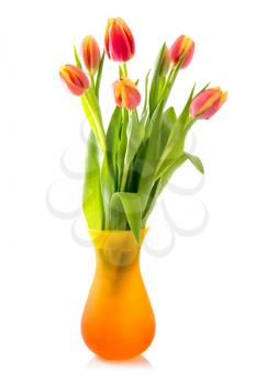 Bouquet of blossoming tulips in vase isolated on white background