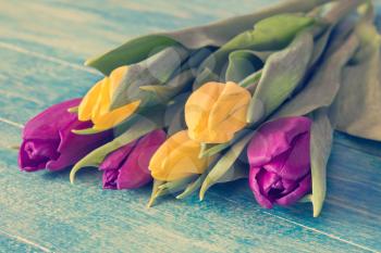 Bouquet of colorful tulips lying on blue wooden background