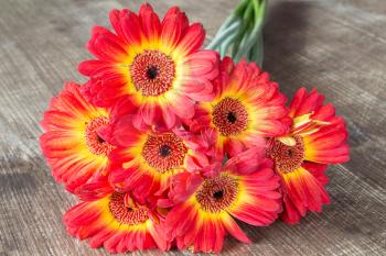Colorful gerbera flowers on the wooden table