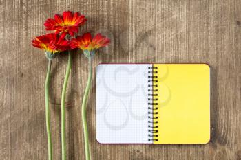 Blank notebook and three gerberas on the wooden table