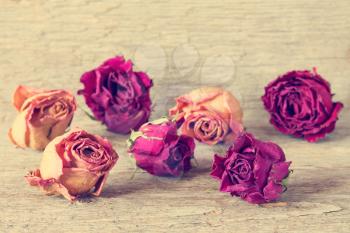 Dried rose flower buds on wooden background