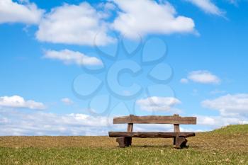 Empty wooden bench  in the park at spring time