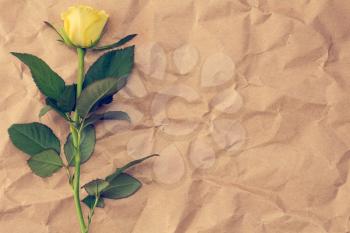 Single yellow rose on crumpled paper background. Copy-space.