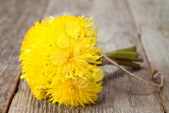 Bunch of yellow dandelion flowers tied with rope