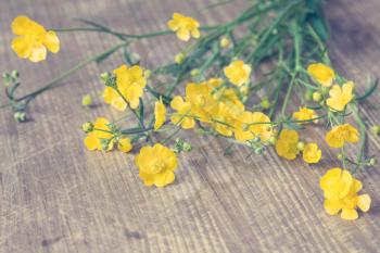 Yellow wildflowers on wooden background