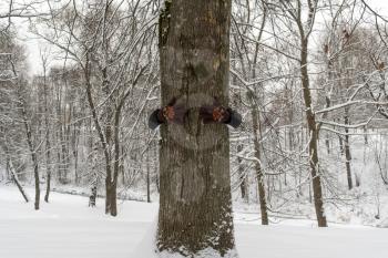Man embracing tree in the winter park - environment protection concept