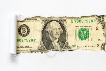 One dollar bill in torn white paper frame