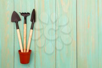 Pot with gardening tools on wood background.Copy-space