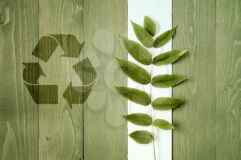 Green plant and recycle symbol on wooden background