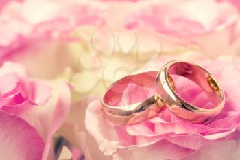 Wedding rings with beautiful rose flower. Close-up view