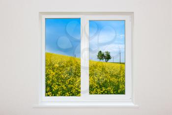 Beautiful view over a window of a rapeseed field with a blue sky