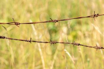Close up old barbed wire fence