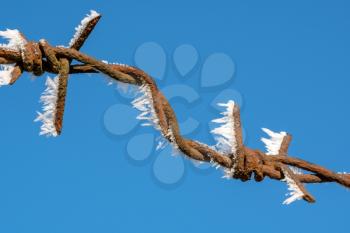 Close-up of barbed wire with ice crystals