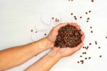 Coffee beans in human hands. View from above.